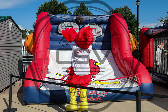 Greeneville Reds vs Johnson City Cardinals July 3, 2019