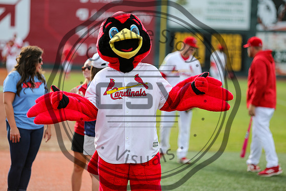 Greeneville Reds vs Johnson City Cardinals July 2, 2019