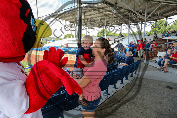 Greeneville Reds vs Johnson City Cardinals July 3, 2019