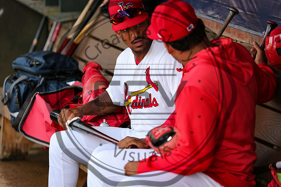 Greeneville Reds vs Johnson City Cardinals July 1, 2019