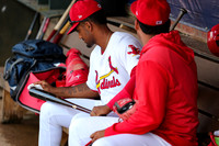 Greeneville Reds vs Johnson City Cardinals July 1, 2019