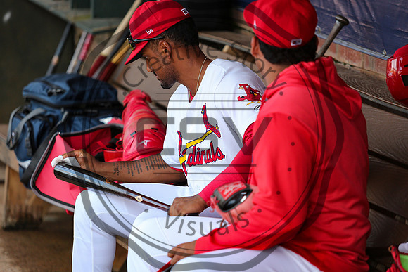 Greeneville Reds vs Johnson City Cardinals July 1, 2019