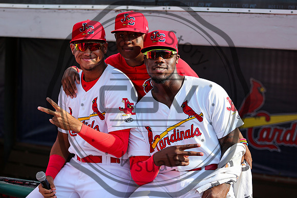 Greeneville Reds vs Johnson City Cardinals July 1, 2019