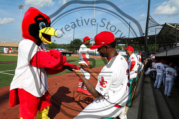 Greeneville Reds vs Johnson City Cardinals July 1, 2019