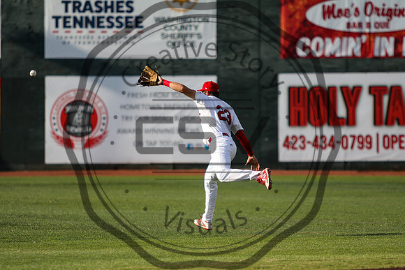 Greeneville Reds vs Johnson City Cardinals July 1, 2019