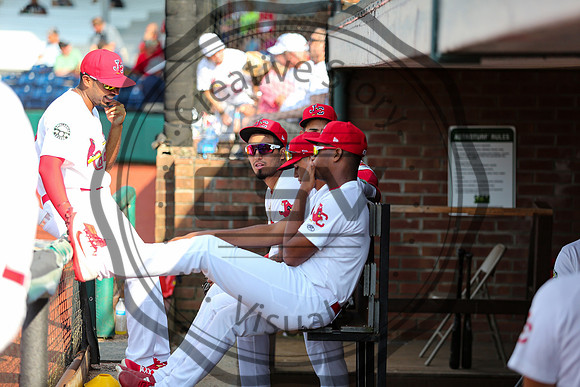 Greeneville Reds vs Johnson City Cardinals July 1, 2019
