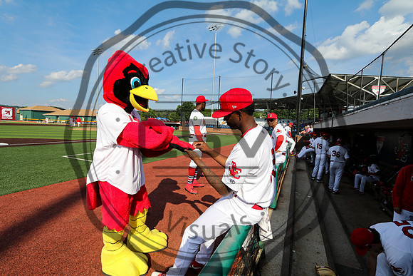 Greeneville Reds vs Johnson City Cardinals July 1, 2019