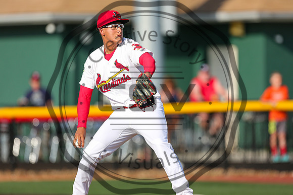 Greeneville Reds vs Johnson City Cardinals July 1, 2019
