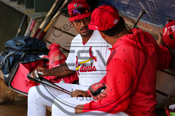 Greeneville Reds vs Johnson City Cardinals July 1, 2019