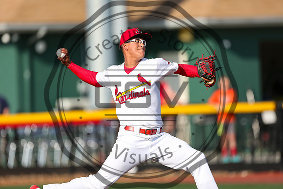 Greeneville Reds vs Johnson City Cardinals July 1, 2019