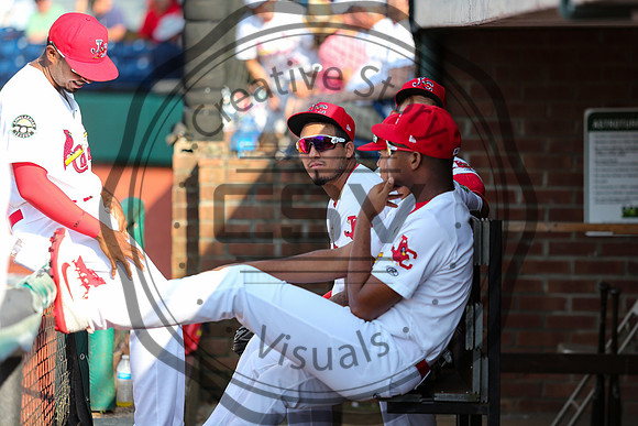 Greeneville Reds vs Johnson City Cardinals July 1, 2019