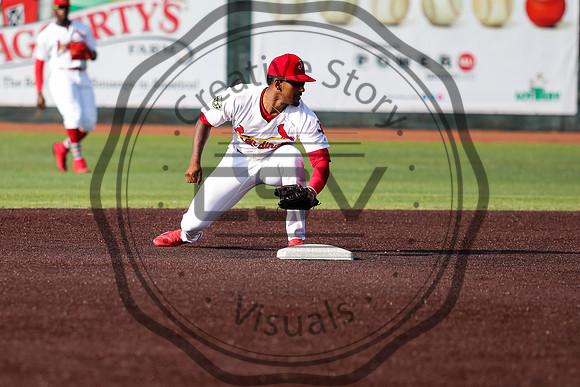 Greeneville Reds vs Johnson City Cardinals July 1, 2019