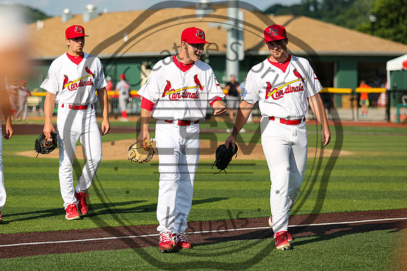 Greeneville Reds vs Johnson City Cardinals July 1, 2019