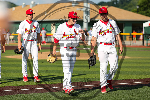 Greeneville Reds vs Johnson City Cardinals July 1, 2019