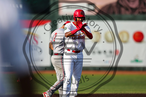 Greeneville Reds vs Johnson City Cardinals July 1, 2019