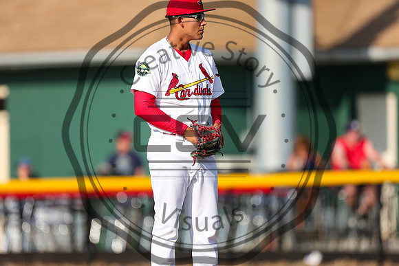 Greeneville Reds vs Johnson City Cardinals July 1, 2019