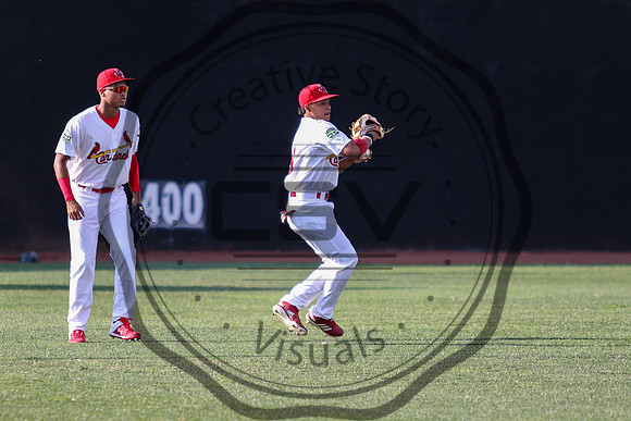Greeneville Reds vs Johnson City Cardinals July 1, 2019