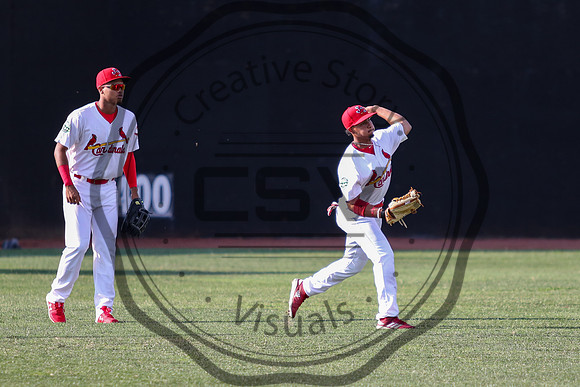 Greeneville Reds vs Johnson City Cardinals July 1, 2019