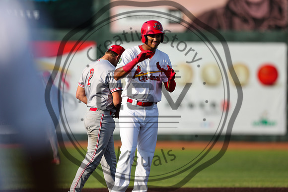 Greeneville Reds vs Johnson City Cardinals July 1, 2019
