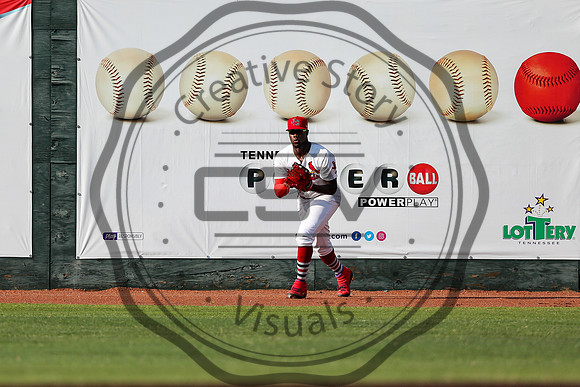 Greeneville Reds vs Johnson City Cardinals July 1, 2019