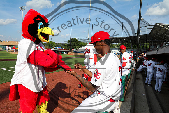 Greeneville Reds vs Johnson City Cardinals July 1, 2019