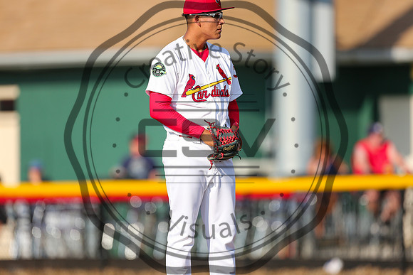 Greeneville Reds vs Johnson City Cardinals July 1, 2019