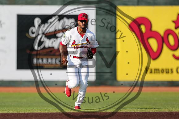 Greeneville Reds vs Johnson City Cardinals July 1, 2019