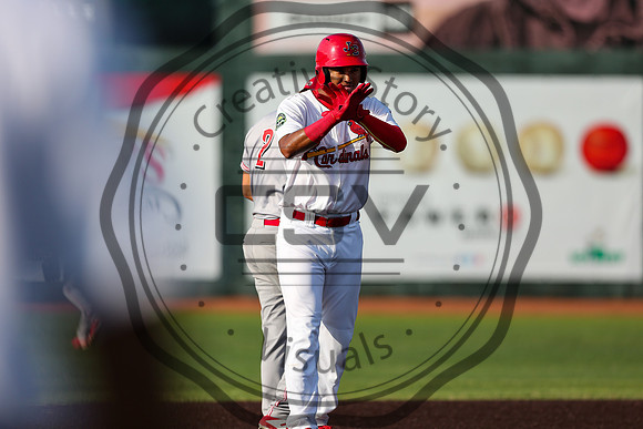 Greeneville Reds vs Johnson City Cardinals July 1, 2019
