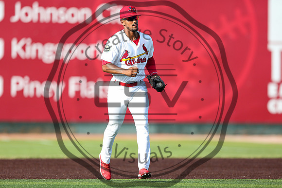 Greeneville Reds vs Johnson City Cardinals July 1, 2019