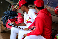 Greeneville Reds vs Johnson City Cardinals July 1, 2019