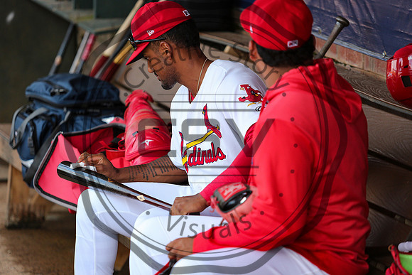 Greeneville Reds vs Johnson City Cardinals July 1, 2019