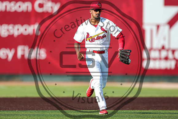 Greeneville Reds vs Johnson City Cardinals July 1, 2019