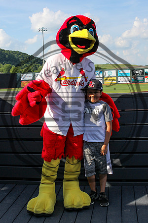 Greeneville Reds vs Johnson City Cardinals July 1, 2019