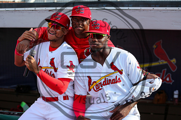 Greeneville Reds vs Johnson City Cardinals July 1, 2019