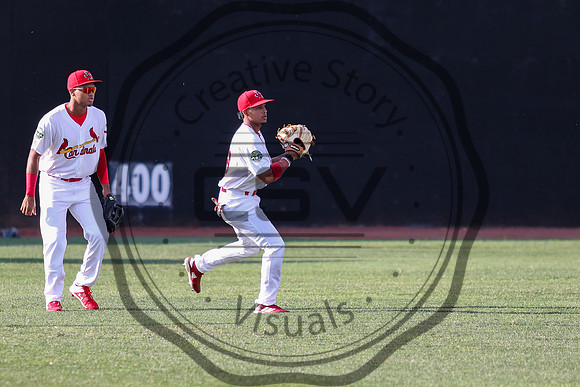 Greeneville Reds vs Johnson City Cardinals July 1, 2019