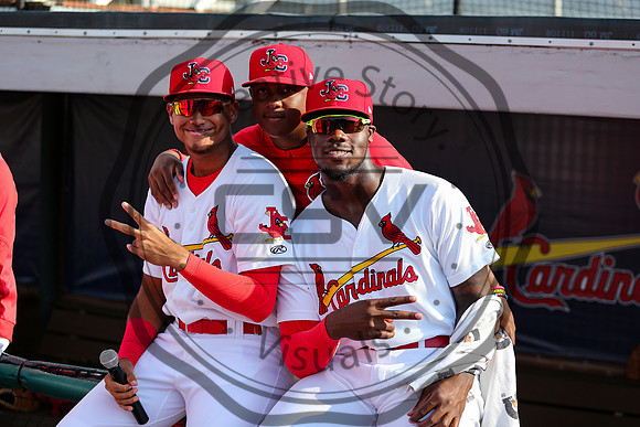 Greeneville Reds vs Johnson City Cardinals July 1, 2019