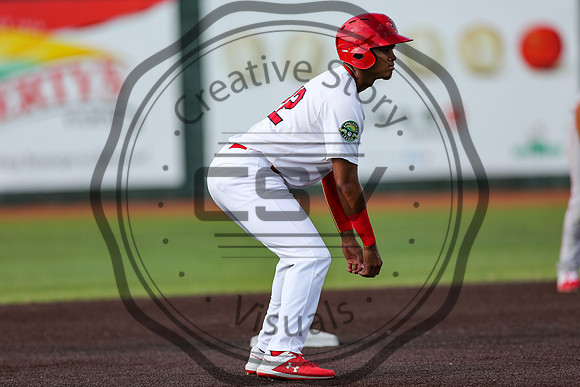 Greeneville Reds vs Johnson City Cardinals July 1, 2019
