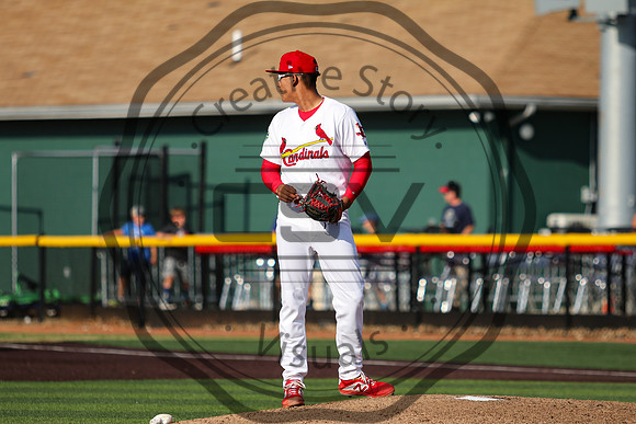 Greeneville Reds vs Johnson City Cardinals July 1, 2019