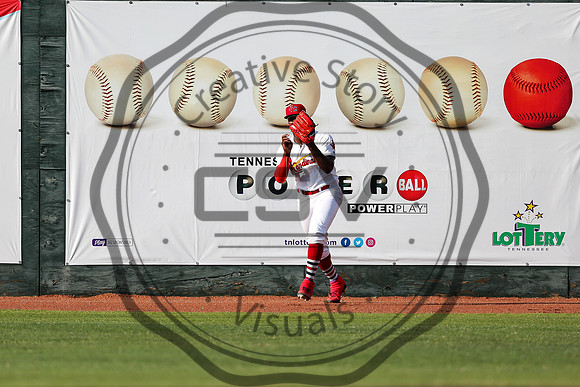 Greeneville Reds vs Johnson City Cardinals July 1, 2019