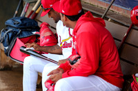 Greeneville Reds vs Johnson City Cardinals July 1, 2019