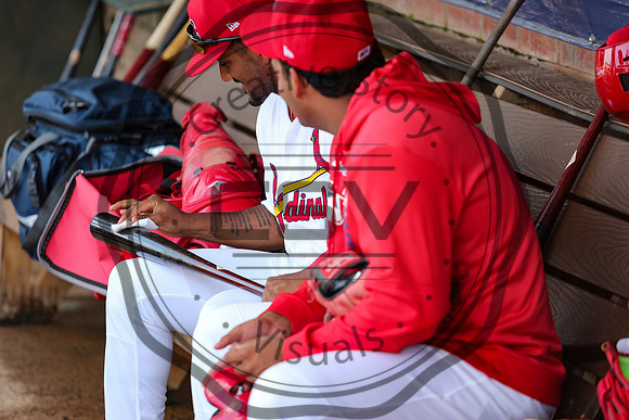 Greeneville Reds vs Johnson City Cardinals July 1, 2019