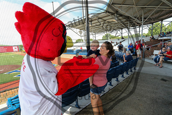 Greeneville Reds vs Johnson City Cardinals July 3, 2019