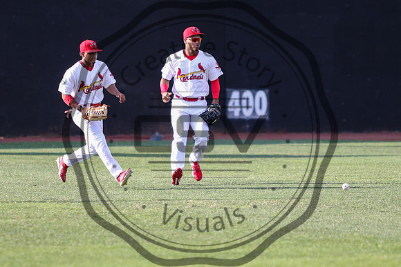 Greeneville Reds vs Johnson City Cardinals July 1, 2019