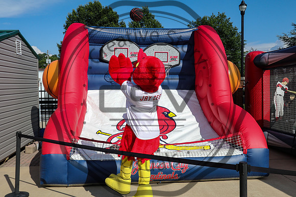 Greeneville Reds vs Johnson City Cardinals July 3, 2019