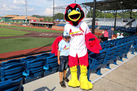 Greeneville Reds vs Johnson City Cardinals July 3, 2019