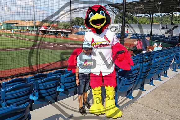 Greeneville Reds vs Johnson City Cardinals July 3, 2019