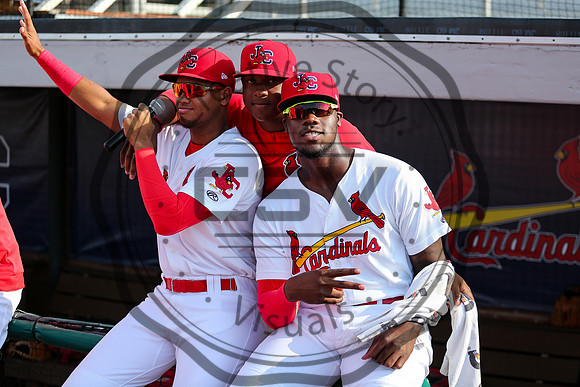 Greeneville Reds vs Johnson City Cardinals July 1, 2019