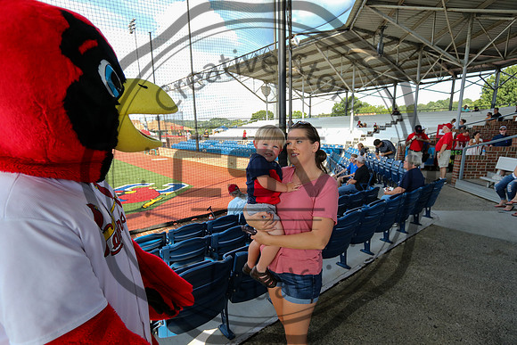 Greeneville Reds vs Johnson City Cardinals July 3, 2019