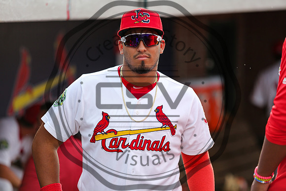 Greeneville Reds vs Johnson City Cardinals July 2, 2019