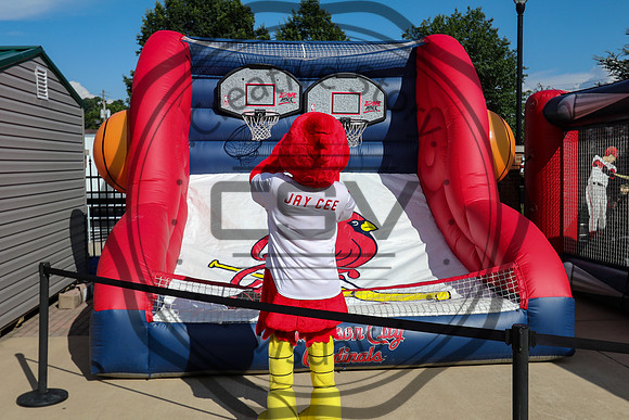 Greeneville Reds vs Johnson City Cardinals July 3, 2019